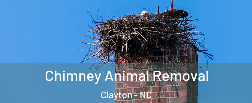  Chimney Animal Removal Clayton - NC