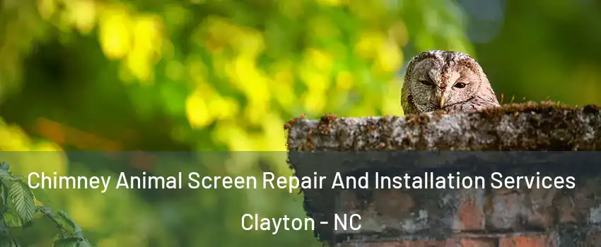  Chimney Animal Screen Repair And Installation Services Clayton - NC