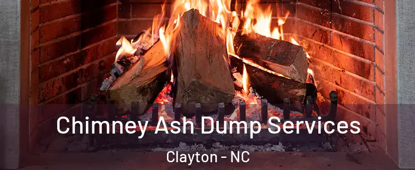  Chimney Ash Dump Services Clayton - NC
