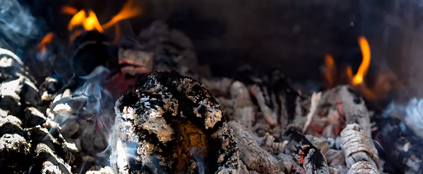 Creosote Removal Experts in Clayton, NC