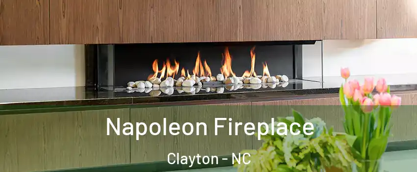  Napoleon Fireplace Clayton - NC